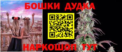винт Гай