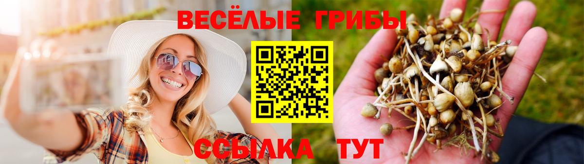Псилоцибиновые грибы MAGIC MUSHROOMS  Вход с VPN  Азов 